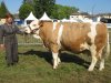 montigny2011 ombelle mba